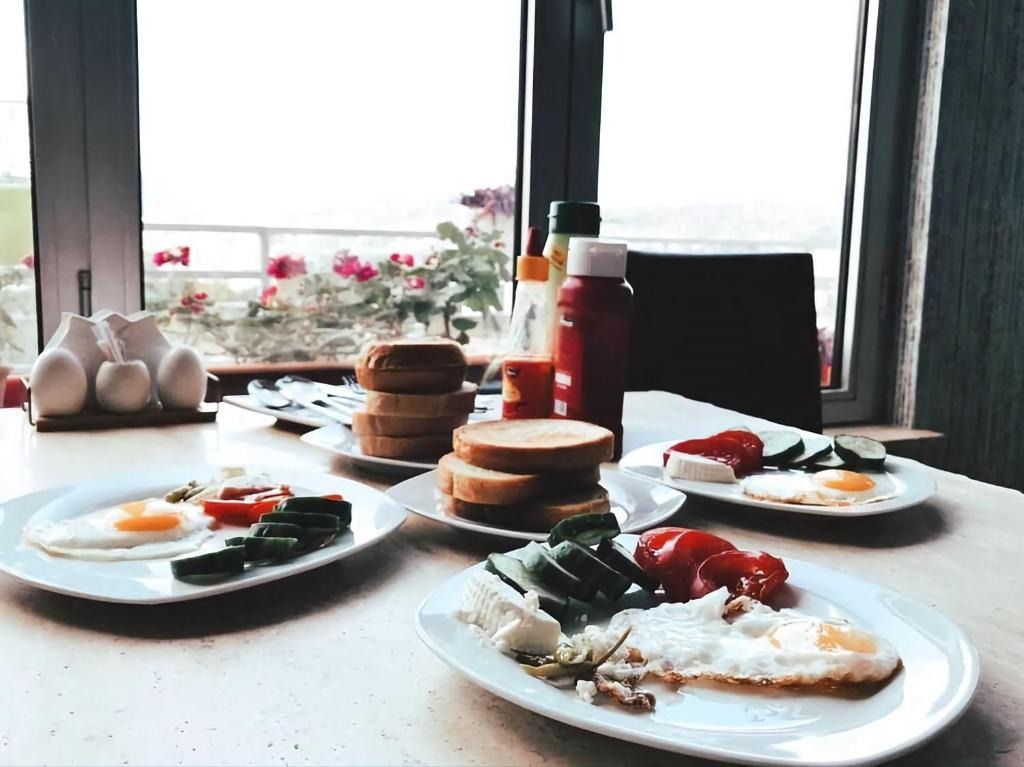 هتل پاناروما